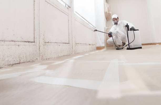 24/7 Emergency Commercial Mold Remediation experts in Dublin, VA